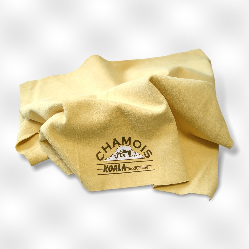 Koala Peau de Chamois 4½ Pied 76x54cm Full Skin